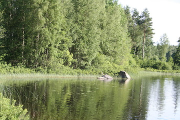 Image showing Lake in summer-time