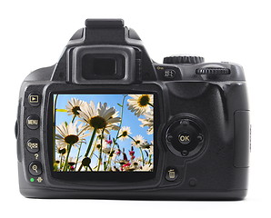 Image showing dslr with summer flower