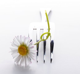 Image showing flower and fork