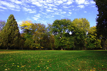 Image showing fall in the park with green trees under blue sky