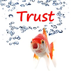 Image showing trust