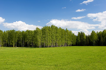 Image showing Summer landscape