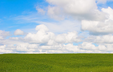 Image showing Summer landscape