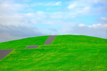 Image showing grassland in summer under cloudy sky