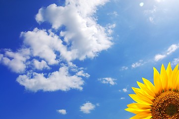 Image showing blue sky and sunflower