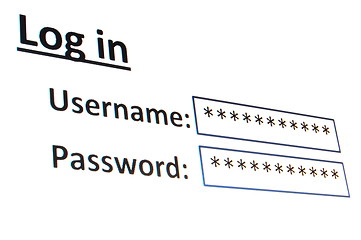 Image showing login on a website in the internet