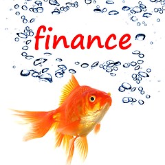 Image showing finance