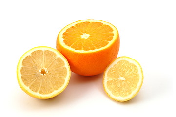 Image showing lemon orange and citron fruit