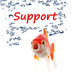 Image showing support