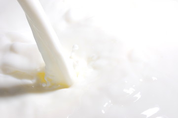 Image showing milk splash