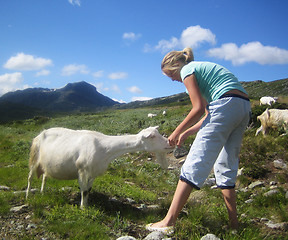 Image showing Goat with a child