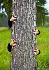 Image showing Humorous collage - man climbs up a tree