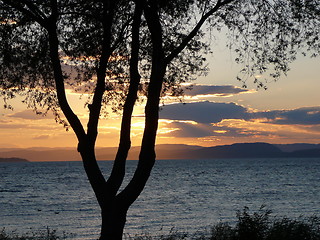 Image showing Sunset