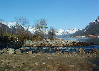 Image showing Icefjord