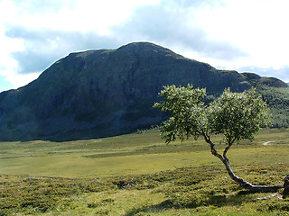 Image showing Mountain landscape