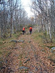 Image showing Hikers in the mountainforest