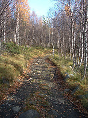 Image showing Mountain landscape