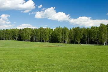 Image showing Summer landscape