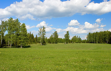 Image showing Summer landscape