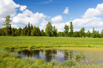 Image showing Summer landscape