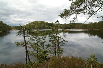 Image showing Quiet lake