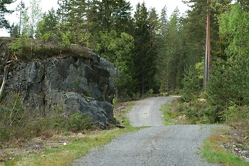 Image showing Winding forst road