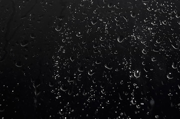 Image showing Water Drops