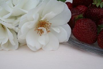 Image showing White rose beside strawberries