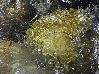 Image showing Stone in the water