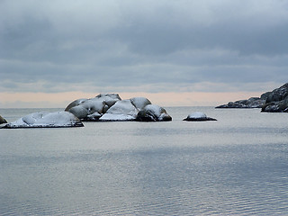 Image showing Coastline in winter