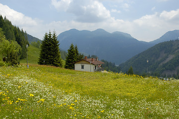 Image showing Fiuli, Carnia,Landscape
