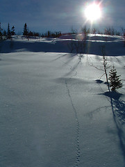 Image showing Winter and snow