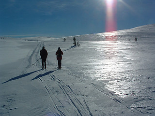 Image showing Winterlandscape