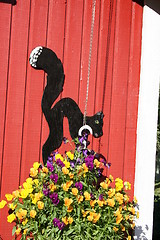 Image showing Cat as decoration