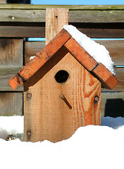 Image showing blue tit box