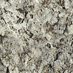 Image showing Surface of natural gray rock - seamless texture