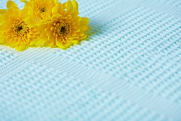 Image showing Contrasting composition - yellow flowers on blue background