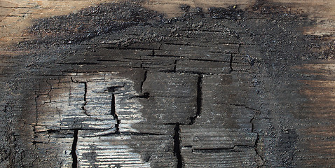 Image showing Burned wood