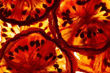 Image showing Italian sun dried tomatoes