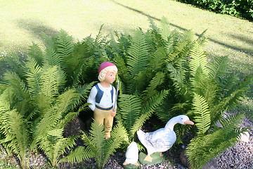 Image showing Geese and boy standing among ferns