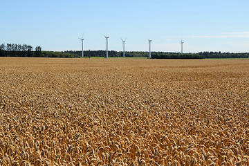 Image showing Windmill's