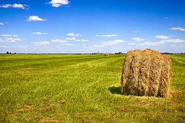 Image showing Agriculture