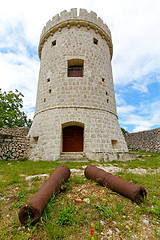 Image showing Canons and castle