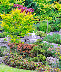 Image showing Kyoto garden