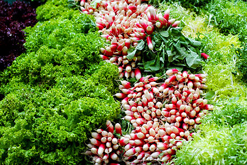 Image showing Fresh salads