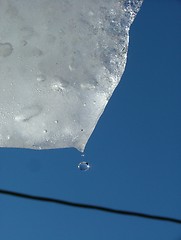 Image showing Drop from ice