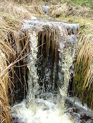 Image showing Brook in the spring