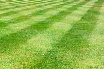 Image showing Soccer grass