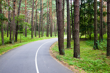 Image showing Road to park