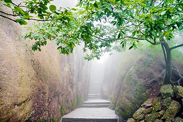 Image showing Mountain chinese zen path